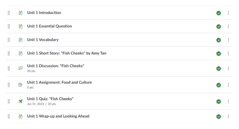 A screenshot of organized modules in Canvas