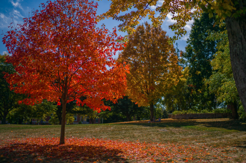 Image of NH in the fall