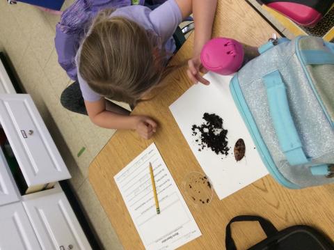 Student leans over dirt