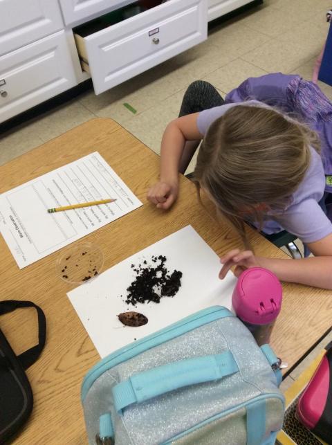 Student focuses on pile of dirt on desk