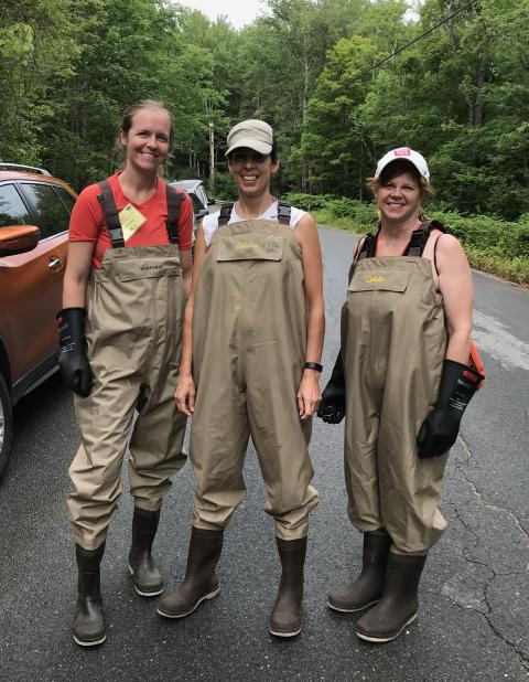 Teachers stand in river waders
