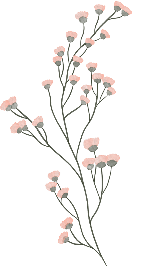 Decorative pink watercolor flowers